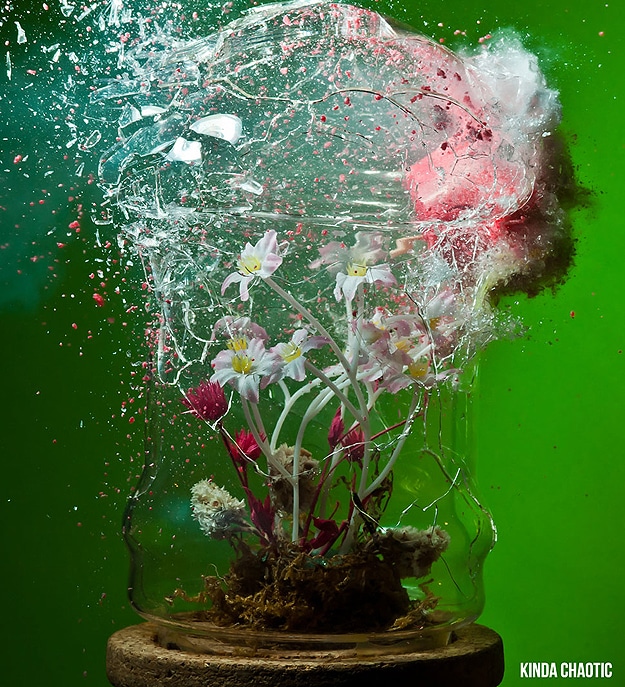 Moment Of Impact Photography Artistic High Speed Photographs