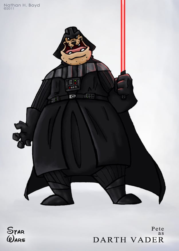 Darth Vader Disney Character