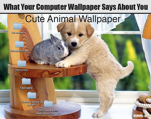 What Wallpaper Reveals About Us