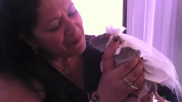 New York Rat Convention Fashion New York Rat Convention Fashion