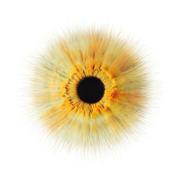 Eye Photography Blind Awareness 2 Famous Close Up Eye Photographs
