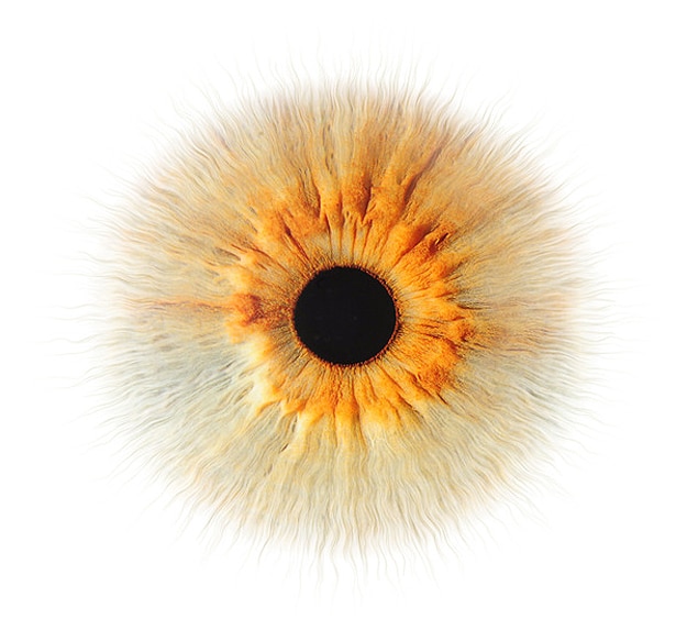 Eye Photography Blind Awareness 4 Famous People Eye Photographs