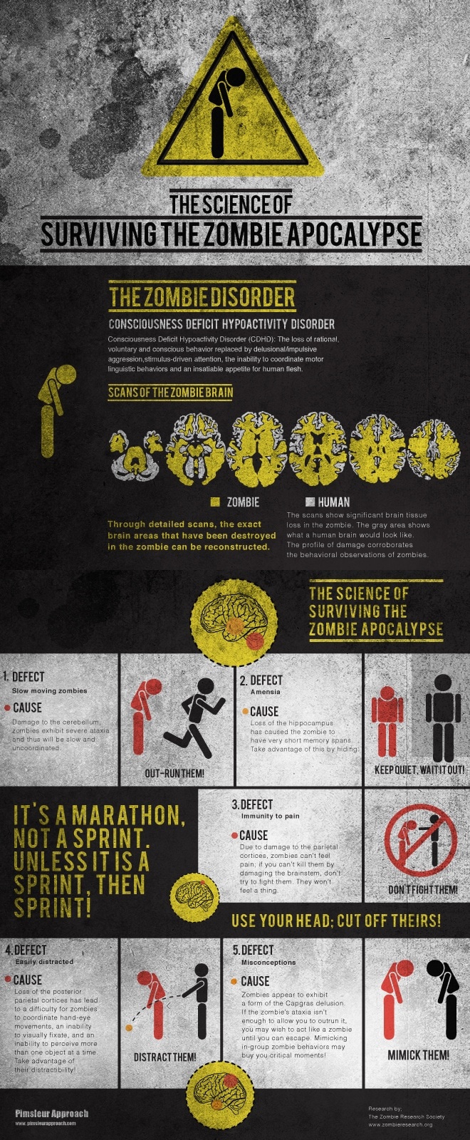How To Survive Zombie Apocalypse