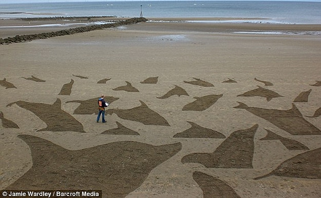 Incredible Beach Drawings In Sand