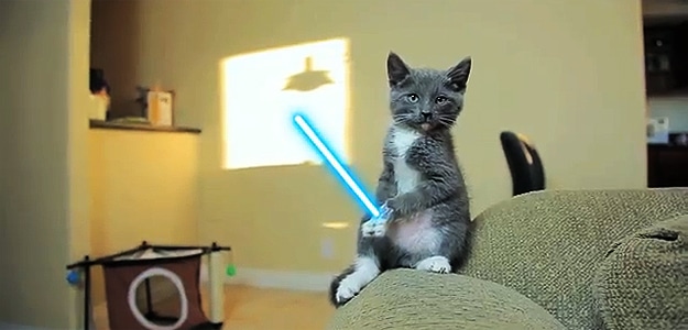 Cats Going Star Wars Jedi