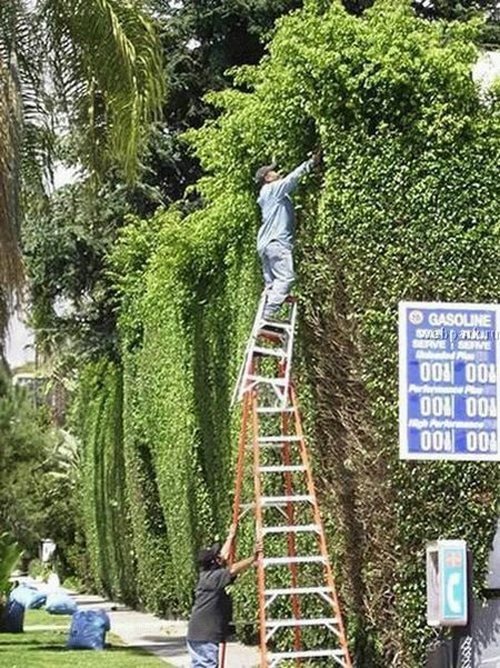 Men Die Before Women 10 Dangerous Working On Ladder