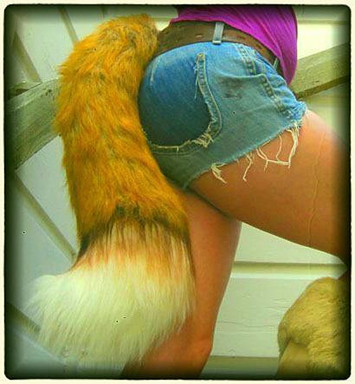 Tail Beastware Fox Accessories 1 Become A Beast With Tail