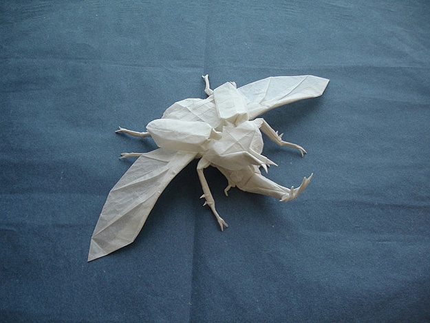 Beetle Bug Origami Design 1 Paper Fold Insect Art