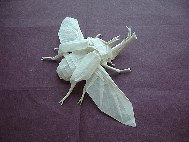 Beetle Bug Origami Design 2 Paper Fold Insect Art
