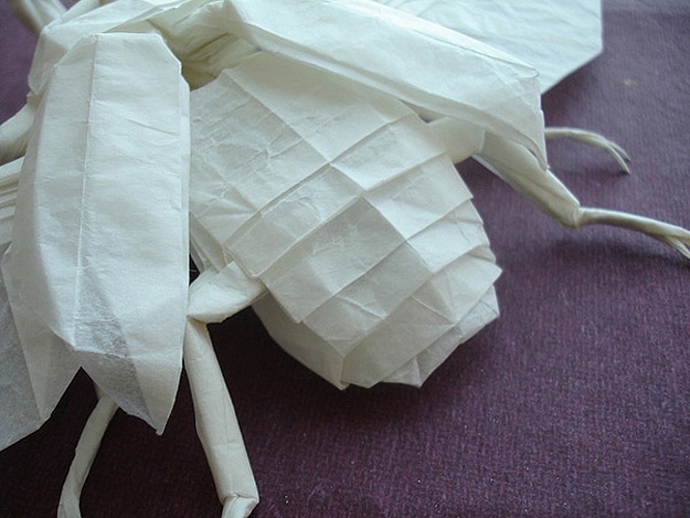 Beetle Bug Origami Design 3 Paper Fold Insect Art