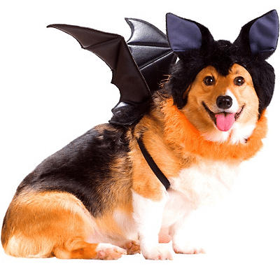Dog Cosplay Halloween Costume Design