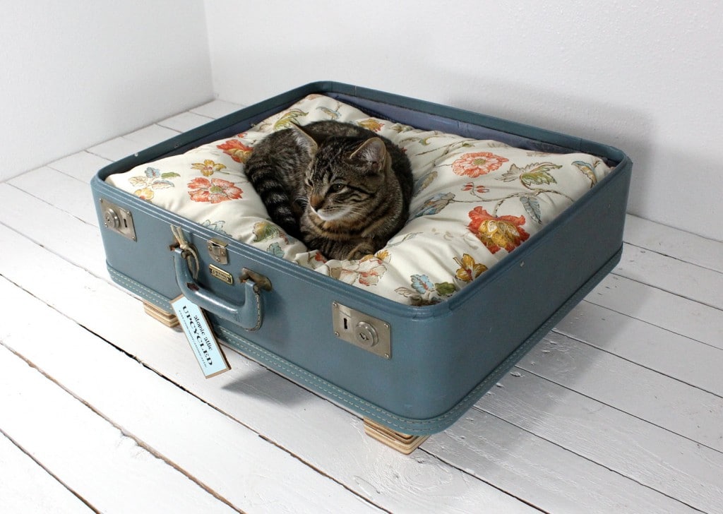 Upcycled Vintage Item Pet Beds
