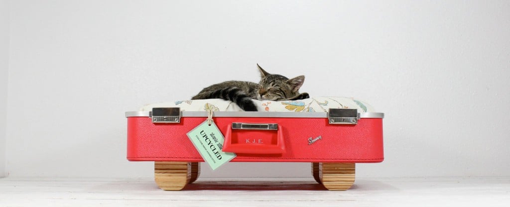 Upcycled Vintage Item Pet Beds