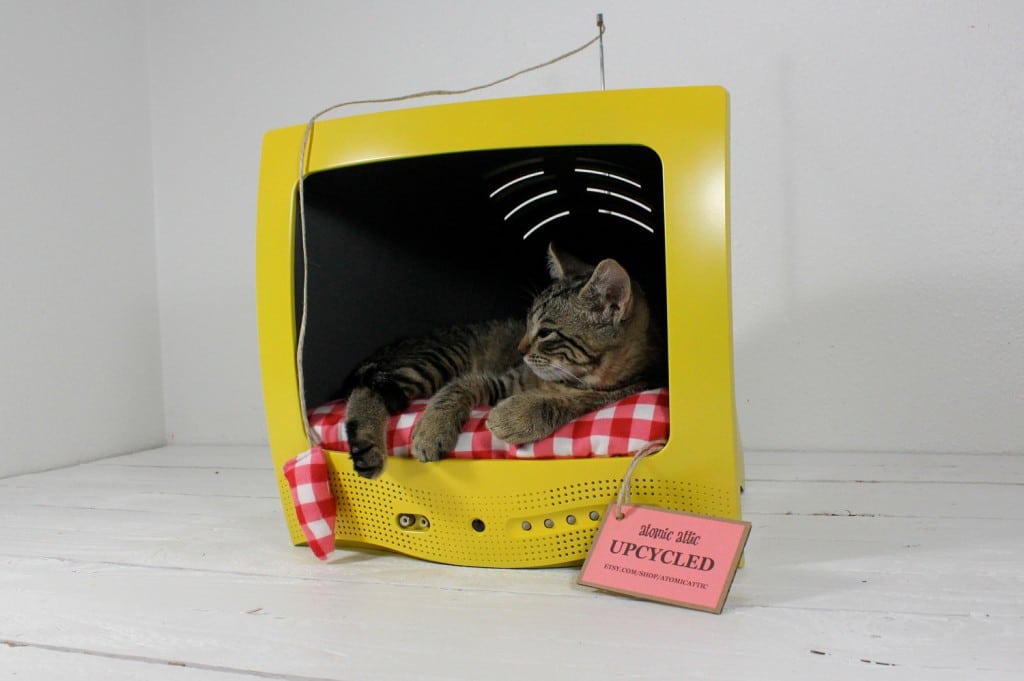 Upcycled Vintage Item Pet Beds