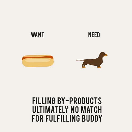 Our Wants vs Needs 12 Recovering Lazyholic Creative Illustrations