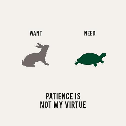 Our Wants vs Needs 7 Recovering Lazyholic Creative Illustrations