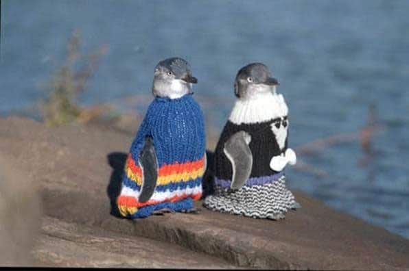 Penguin Jumper Sweater Knitt Aid Penguin Jumper Sweater Knitt Aid