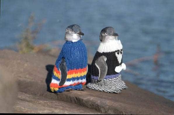 Penguin Jumper Sweater Knitt Aid