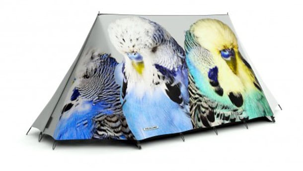FieldCandy Creative New Camping Tents FieldCandy Creative New Camping Tents