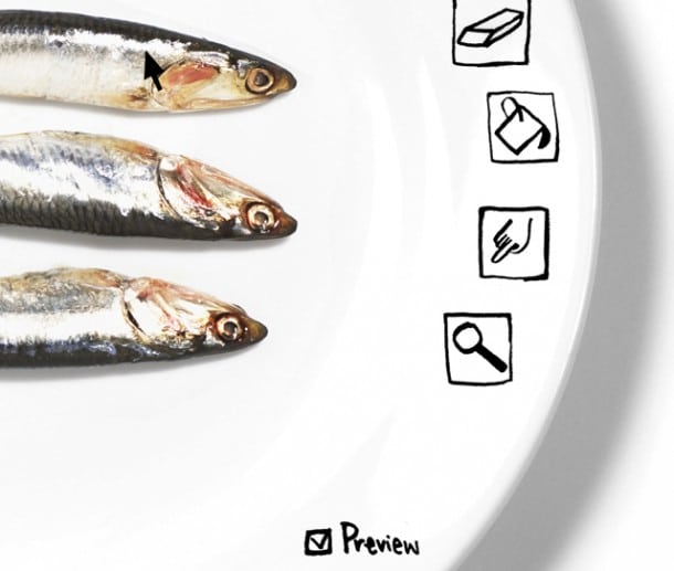 iPlate OS X Dish Design iPlate OS X Dish Design