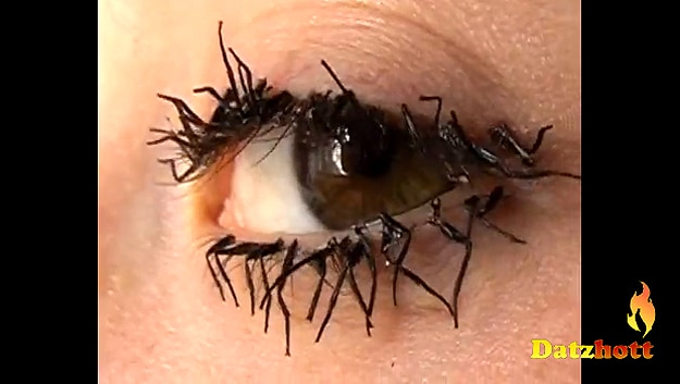 Fake Eyelashes From Insect Legs