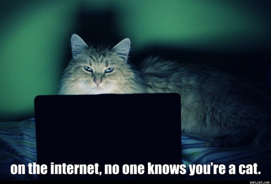 No One Knows Youre Cat Saturdays are Caturday on Internet