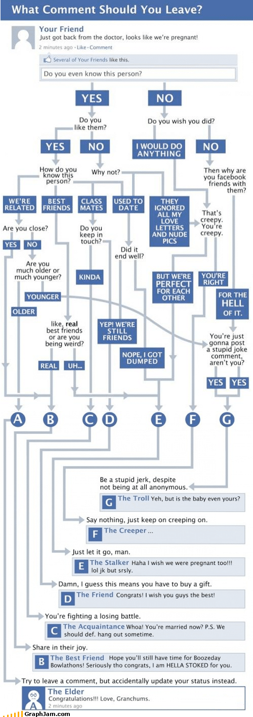The Facebook Comment Guide Flowchart The Facebook Comment Guide Flowchart