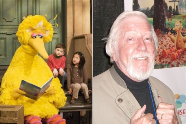 Actors-For-Favorite-Characters Actor Inside Big Bird Costume