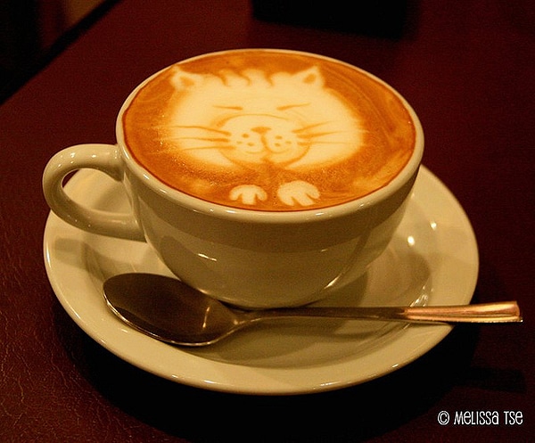 Latte Kitty Coffee Art 