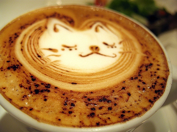 Latte Kitty Coffee Designs
