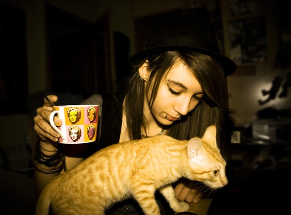 Latte Kitty Coffee Designs