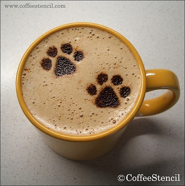 Latte Kitty Coffee Art