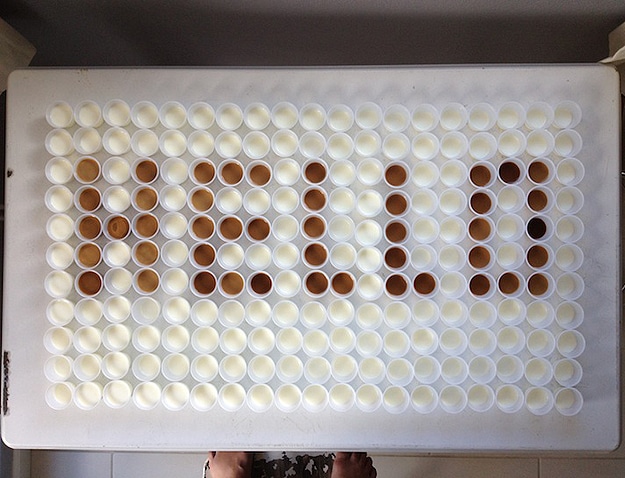 Coffee-Milk-Cup-Designs Project With The Kids