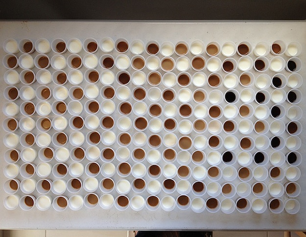 Coffee-Milk-Cup-Designs Project With The Kids