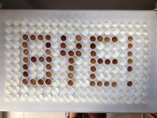 Coffee-Milk-Cup-Designs Project With The Kids