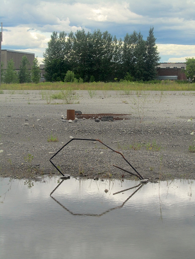 Dead-Hearts-In-Nature Heart Photography Found Outside