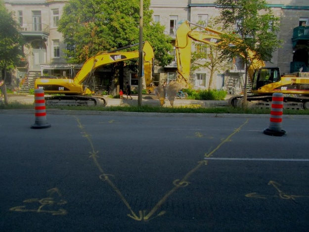 Dead-Hearts-In-Nature Heart Photography Found Outside