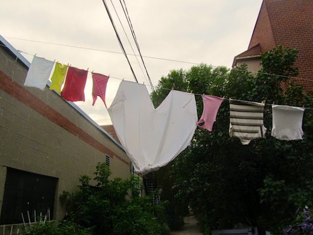 Dead-Hearts-In-Nature Heart Photography Found Outside