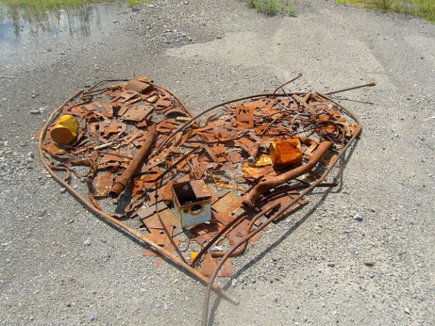 Dead-Hearts-In-Nature Heart Photography Found Outside
