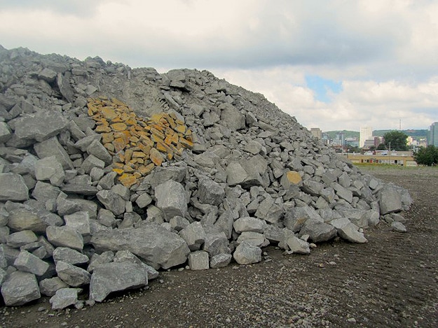 Dead-Hearts-In-Nature Heart Photography Found Outside