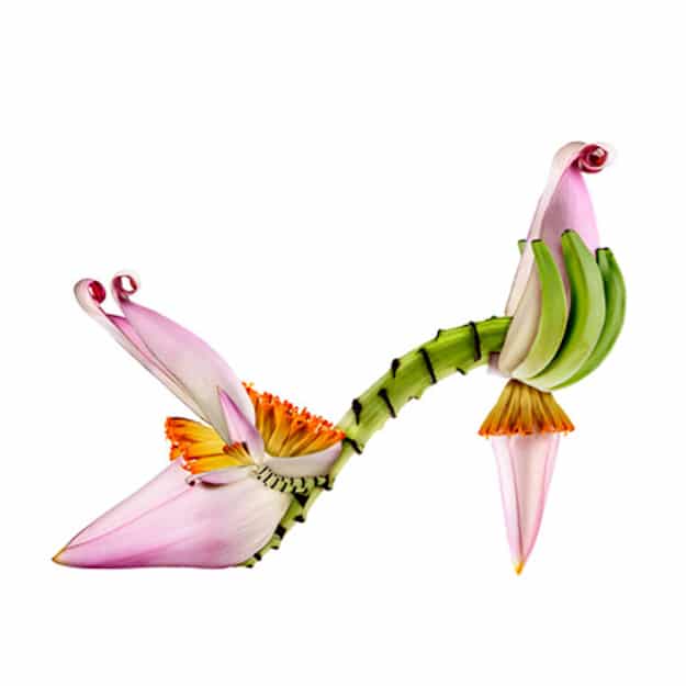 Michel-Tcherevkoff-Chiquita-Banana-Shoe Pink-and-Green-Botanical-Shoe