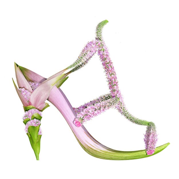 Lovely-Pink-Flower-Botanical-Shoe