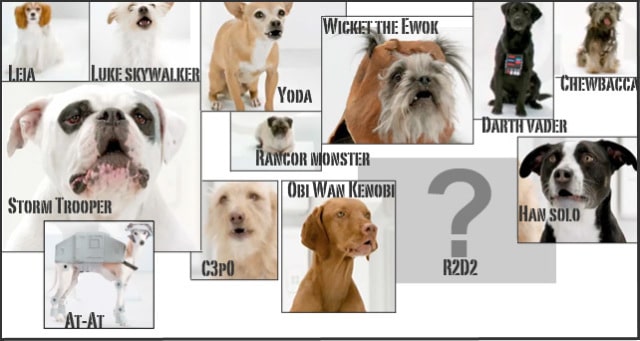 Volkswagen Dog Star Wars Theme Volkswagen Dog Star Wars Theme