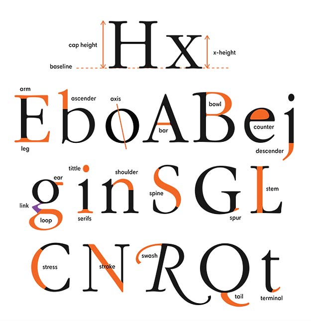 alphabet letters define shapes