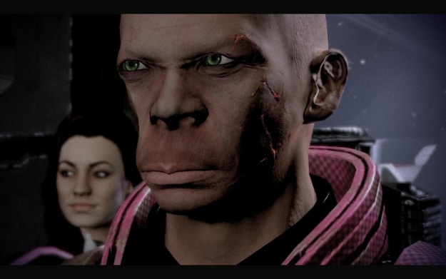 Neanderthal intense facial expression