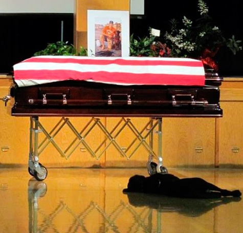 Dog-Loyalty-Best-Friend