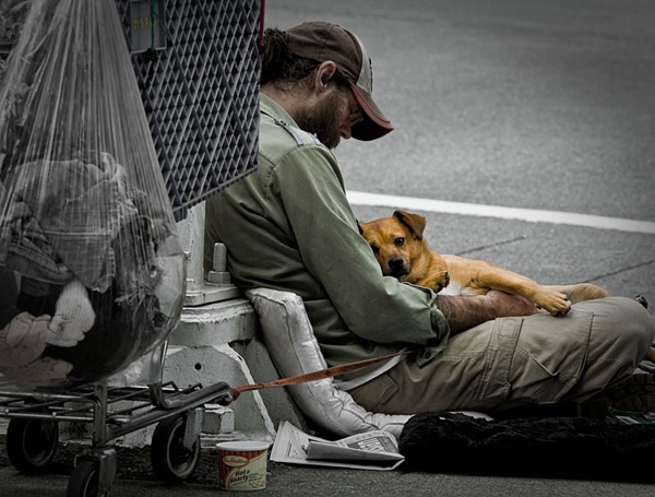 Dog-Loyalty-Best-Friend