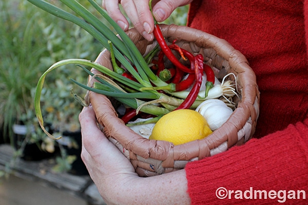 Plastic-Bag-Weaved-Bowls