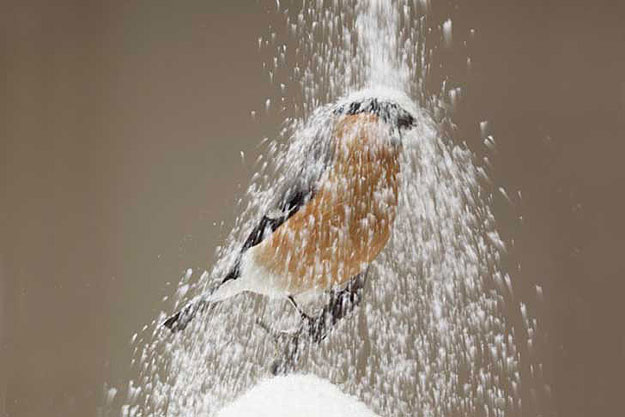 Recycled-Objects-Bird-Houses