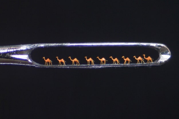 Willard-Wigan-Needle-Art